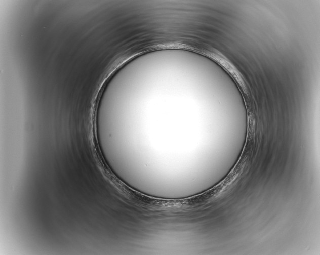 X0000093741002200710160746