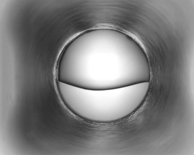 X0000093741003200710160746
