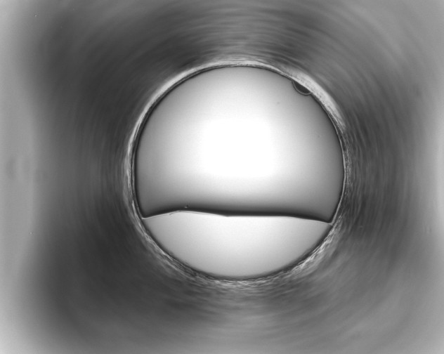 X0000093741004200710160746