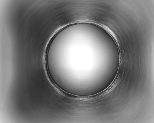 X0000093741005200710160746