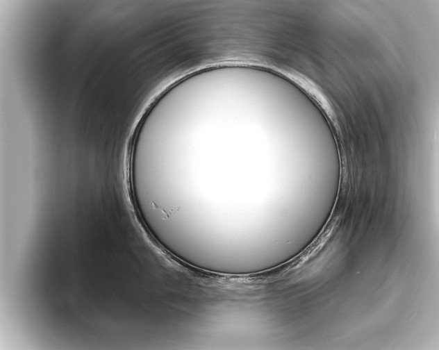 X0000093741006200710160746