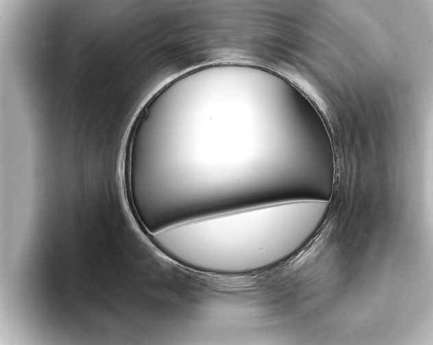 X0000093741007200710160746