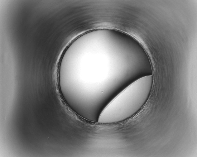 X0000093741008200710160746