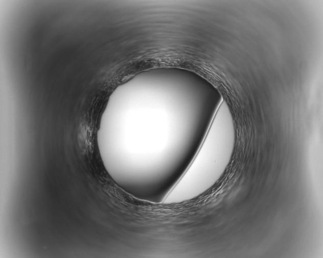 X0000093741010200710160745
