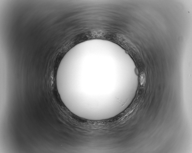 X0000093741011200710160745
