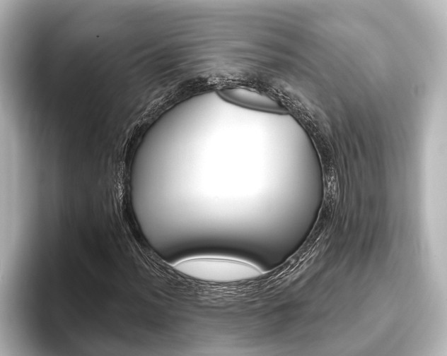 X0000093741012200710160745