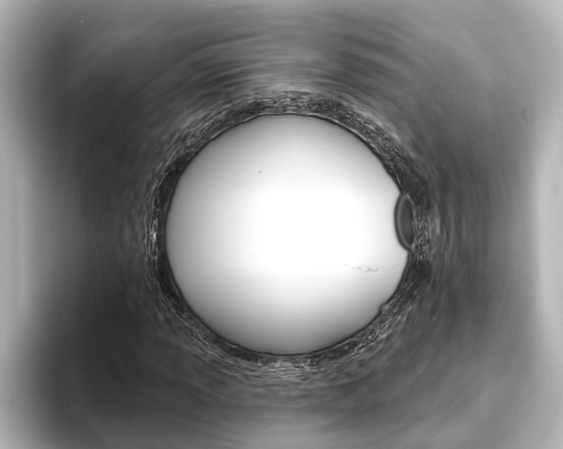X0000093741013200710160745