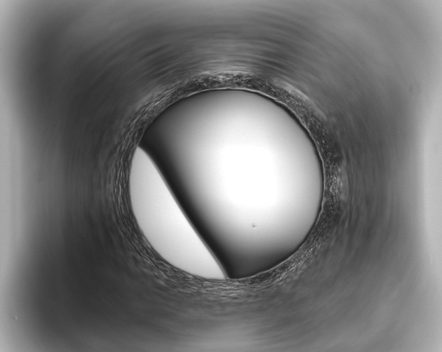 X0000093741014200710160745