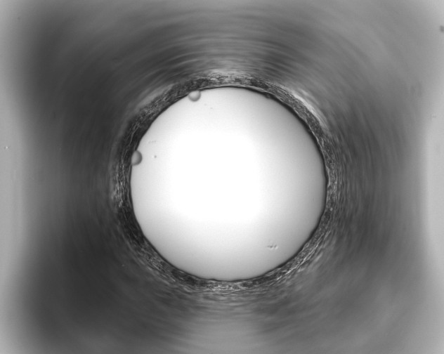 X0000093741015200710160745
