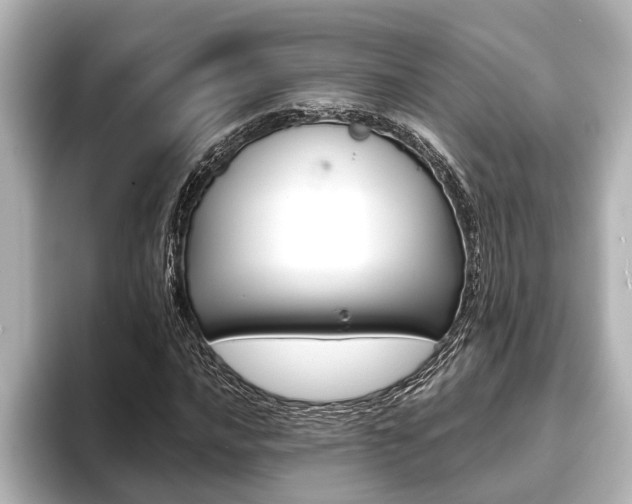 X0000093741016200710160745