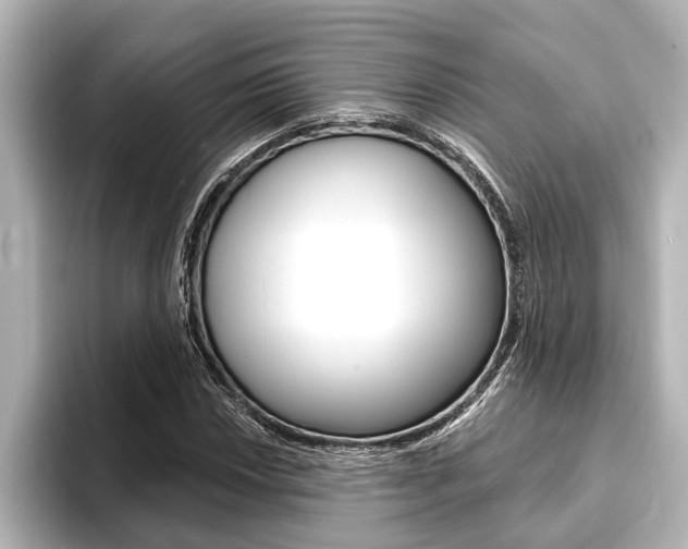 X0000093741018200710160745