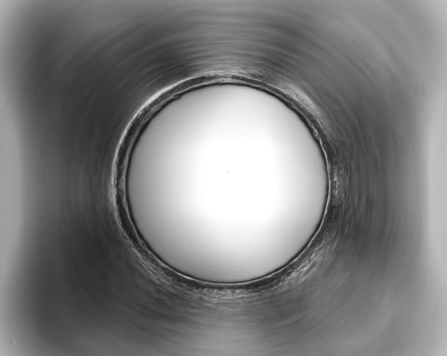 X0000093741020200710160745