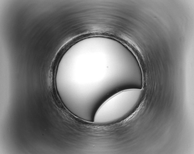 X0000093741021200710160745