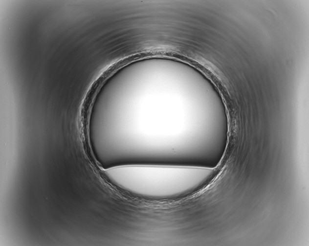 X0000093741022200710160745