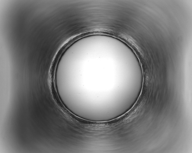 X0000093741024200710160745