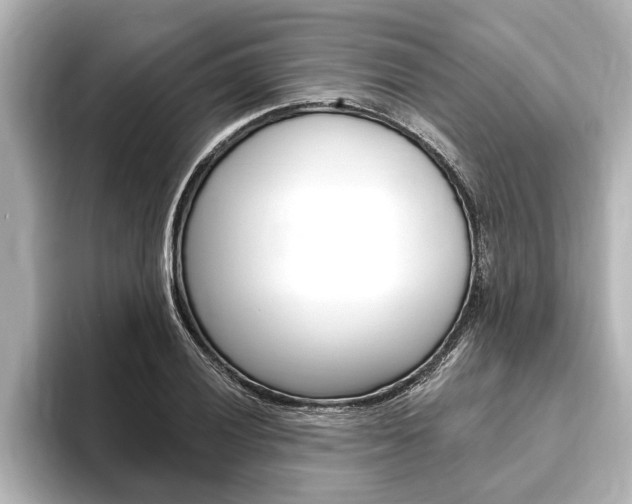 X0000093741028200710160746