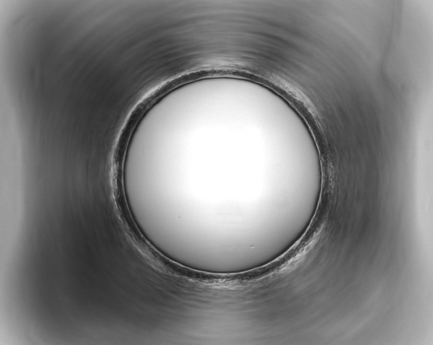 X0000093741029200710160746