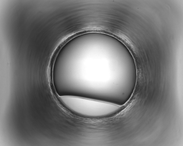 X0000093741030200710160746