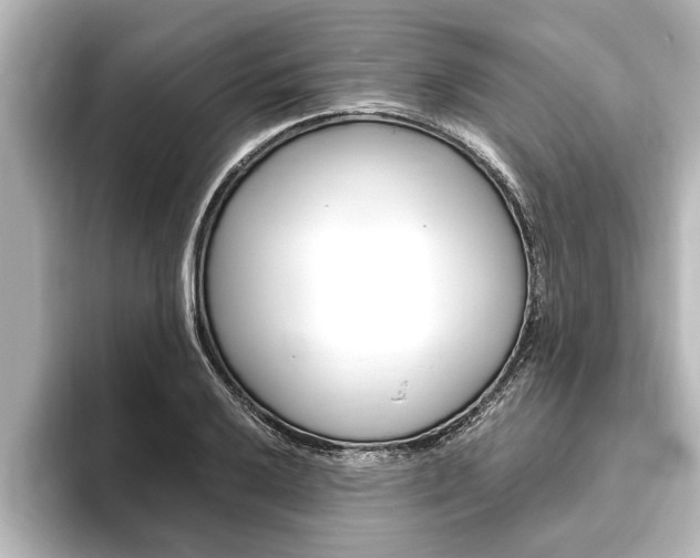 X0000093741032200710160746