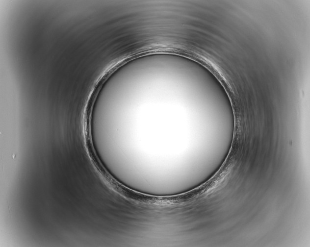 X0000093741034200710160746