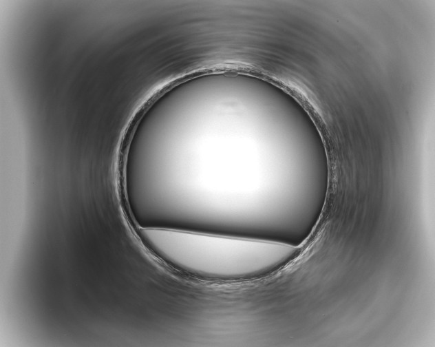 X0000093741038200710160746