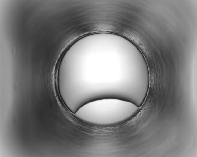 X0000093741039200710160746