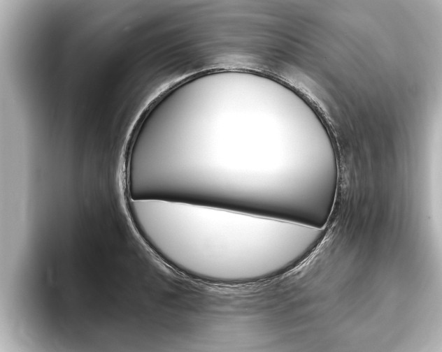 X0000093741040200710160746