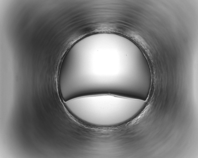 X0000093741041200710160746