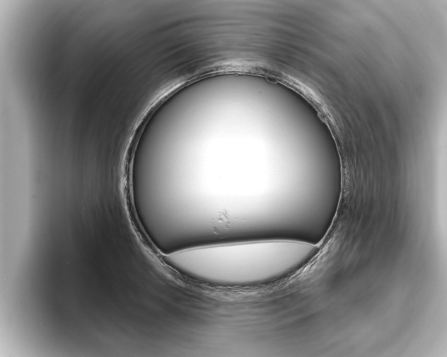 X0000093741042200710160746