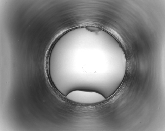 X0000093741043200710160746