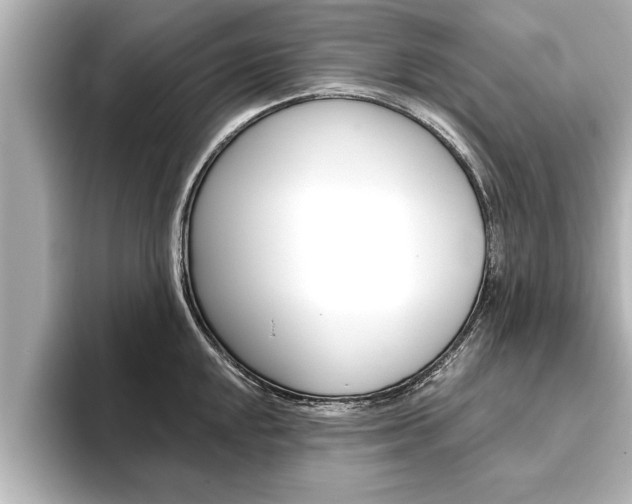 X0000093741048200710160746