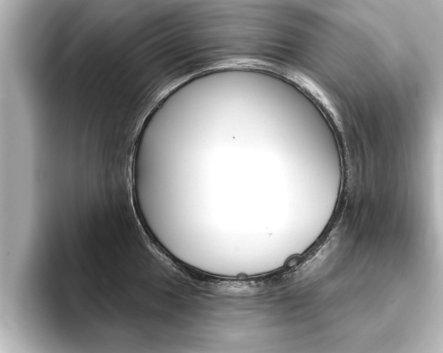 X0000093741049200710160746