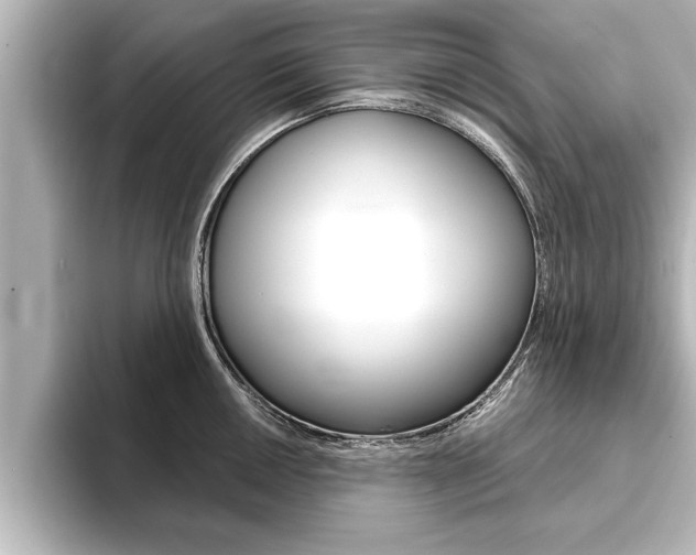 X0000093741050200710160746