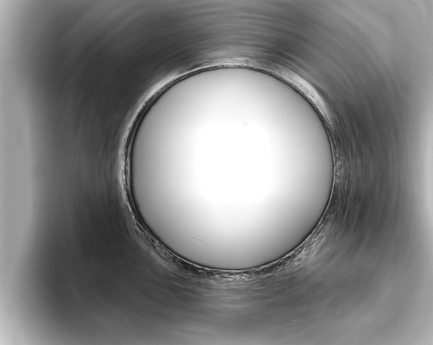 X0000093741051200710160746