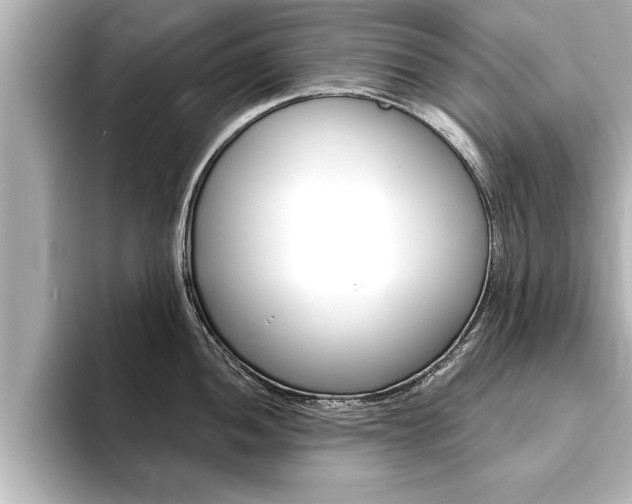X0000093741052200710160746