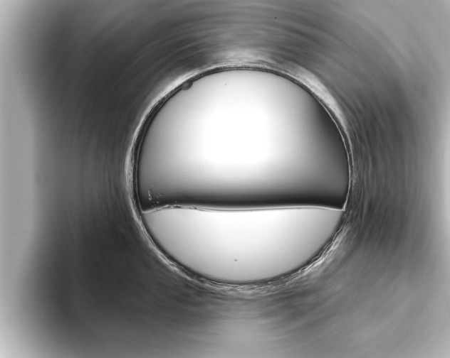 X0000093741053200710160746