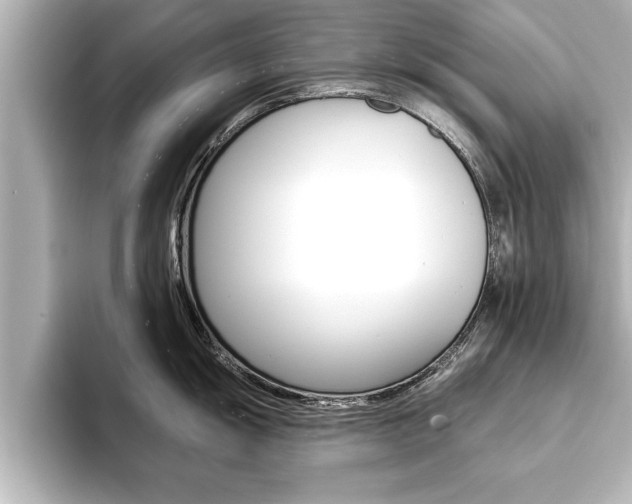 X0000093741055200710160746