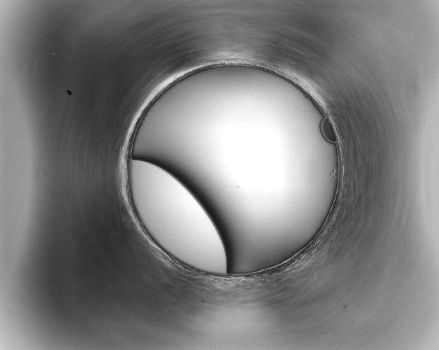 X0000093741056200710160746