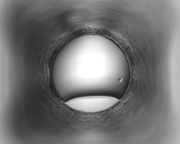 X0000093741061200710160745