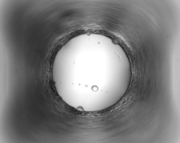 X0000093741063200710160745