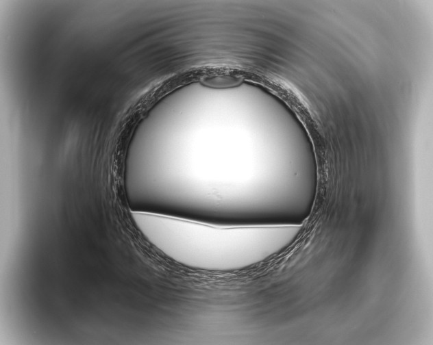 X0000093741064200710160745