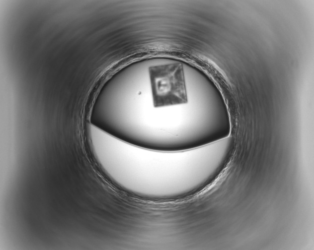X0000093741065200710160745
