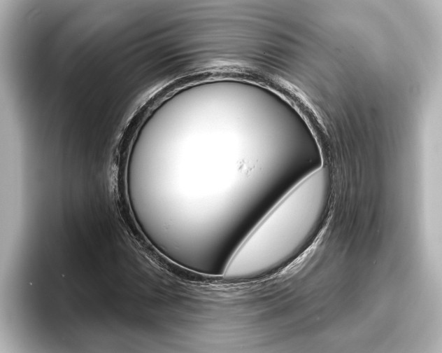 X0000093741066200710160745