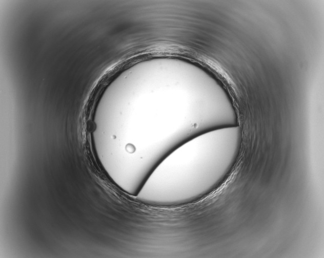 X0000093741067200710160745