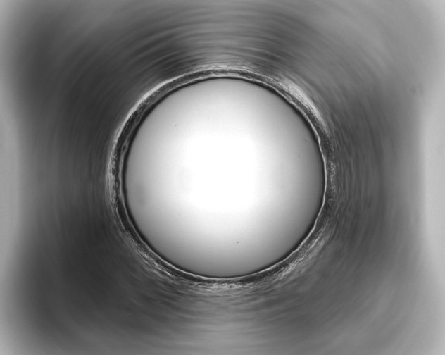 X0000093741068200710160745