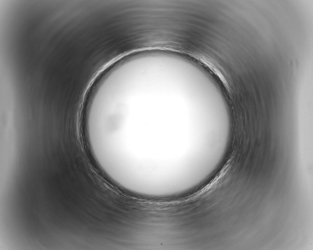 X0000093741069200710160745