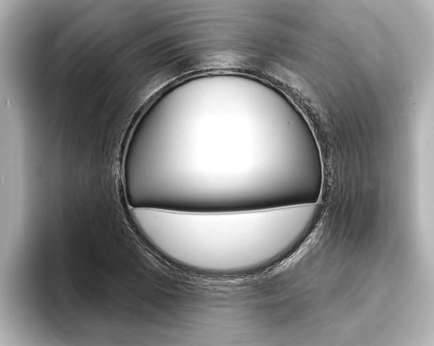 X0000093741073200710160745