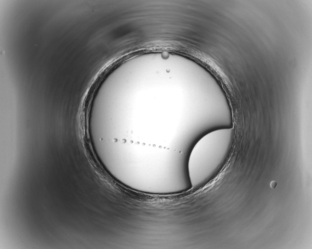 X0000093741075200710160745