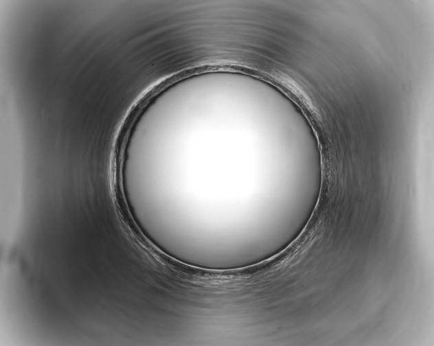 X0000093741076200710160745