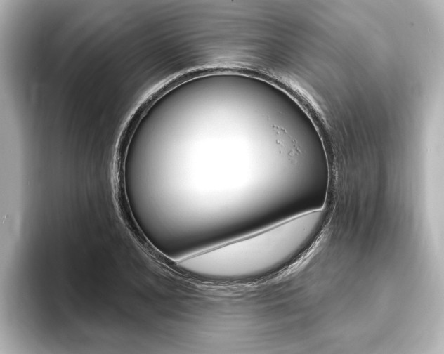 X0000093741077200710160745